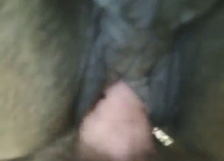 Hot banging session with a guy who loves dog D