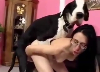 Glasses-wearing brunette gets fucked by dog