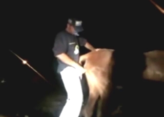 Skinny fucker dominates a mare's hot vagina