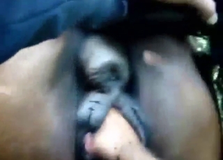 Šťavnaté zviera jebané nadržaným chlapíkom