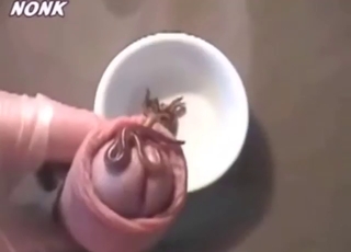 Bestiality sex shows worms crawling IN his dick