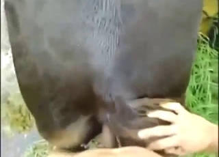 Nejžhavější scéna v zoo s horkou bestií