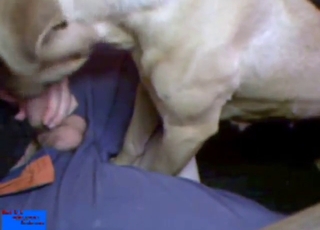 Bestiality sex shows him sticking his dick in dog
