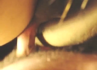 Wet-pussied mare shares its lust with him