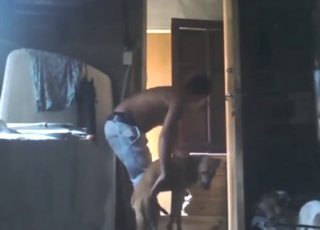 Dude with a nice body is happy to seduce dog