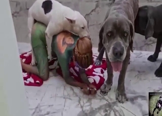 Zoo porn with a bunch of dog-fucking ladies