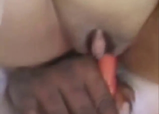 Brunette with nice curves gets fucked by a dog