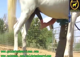 Here's to horses that get jerked off big time