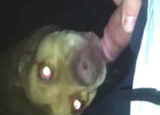 Skinny beast licking his dick and making him hot