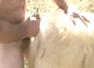 Holes of a sexy beast are fucked by a zoophile