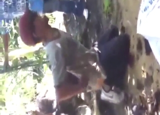 Dog pounding scene with doggystyle orgasms