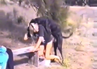 हॉट लेडी को पीछे से कुत्ता चोदेगा