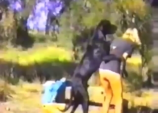 Hot lady is going to get fucked by dog from behind