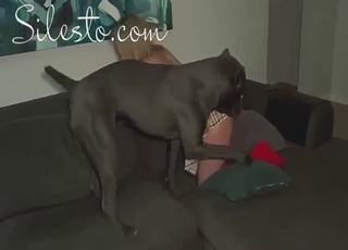 Knappe dame in rode laarzen neukt een hond