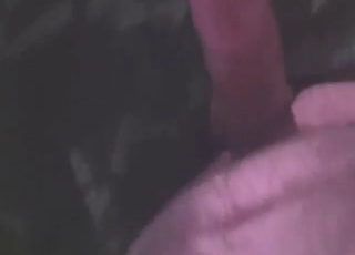 Zoophile cock in zoophile porn, dominating