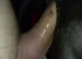 چوتڑ