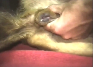 Handjob