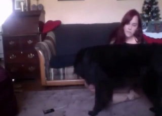 Zoophile porn movie with a horny lady who cums