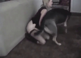 Jej seksowna bielizna jest mokra, gdy bierze penisa