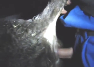 Dude puts his dick deep in a young cow's cunt