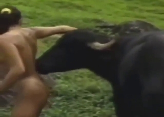 Zoo XXX with a hot brunette who gets licked