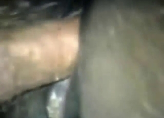 Mare fuck movie with a guy who gets so freaky