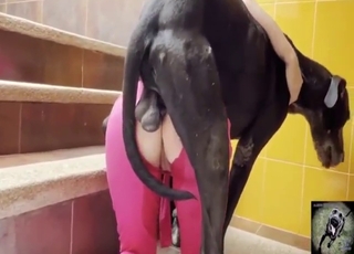 Pink get-up hottie enjoys bestiality sex with dog