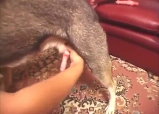 It's a great zoo fuck with a sexy brown beast