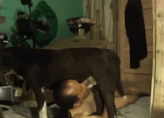 Horny guy steals this mutt to turn into fuckslave