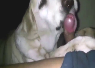 Sucking