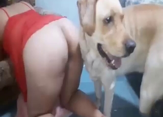 扭曲的人兽性交画面显示她正在接受