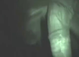 Un mec avec un gros cul prend une bite animale à l'intérieur