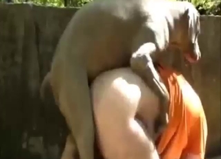 Hot and sexy dog fucks that zoophile on all fours