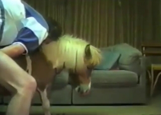 Sexualisert zoofil knuller et dyrs hull