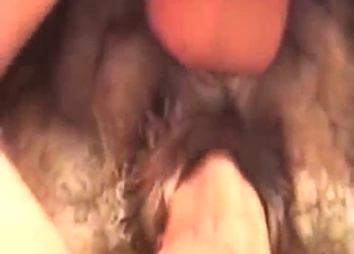 His successful cowgirl domination is THE BEST