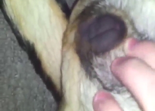 Fingering
