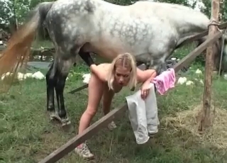 Grey horse is totally banging this blonde whore