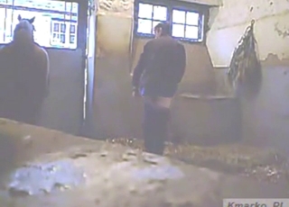 Gay stallion is eyeing this dude's sexy booty