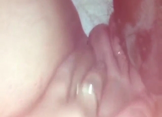 Black dog using its tongue to lick that hottie