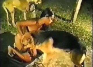 Zoo XXX shows a slutty zoophile taking dog cock