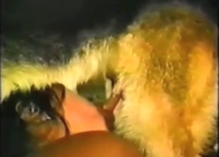 Zoo XXX shows a slutty zoophile taking dog cock