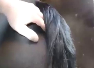 Black pony with a big pussy gets to enjoy rubbing