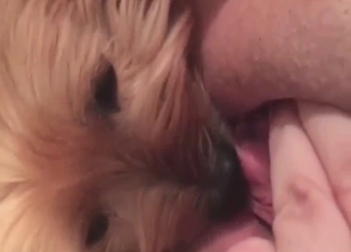 Dog-watcher girl turns out to be a zoophile