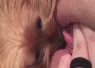 Dog-watcher girl turns out to be a zoophile