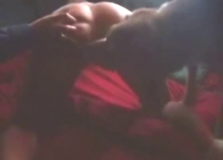 Zoo porn with a dog that fucks a tight hole