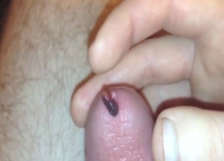 Bestiality sex with a wormy cock on display