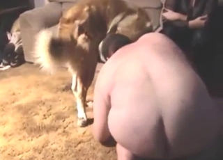 Zoo sex with femdom elements and taboo play