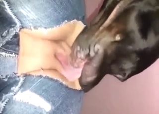 Mutt licks and fucks a girl's hole from behind