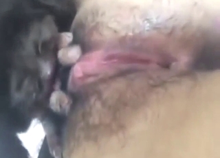 Crazy dog fuck movie with a hairy Chinese lady