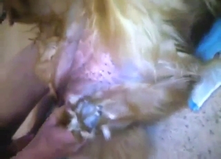 Horny beast with a hot pussy fucks a kinky guy
